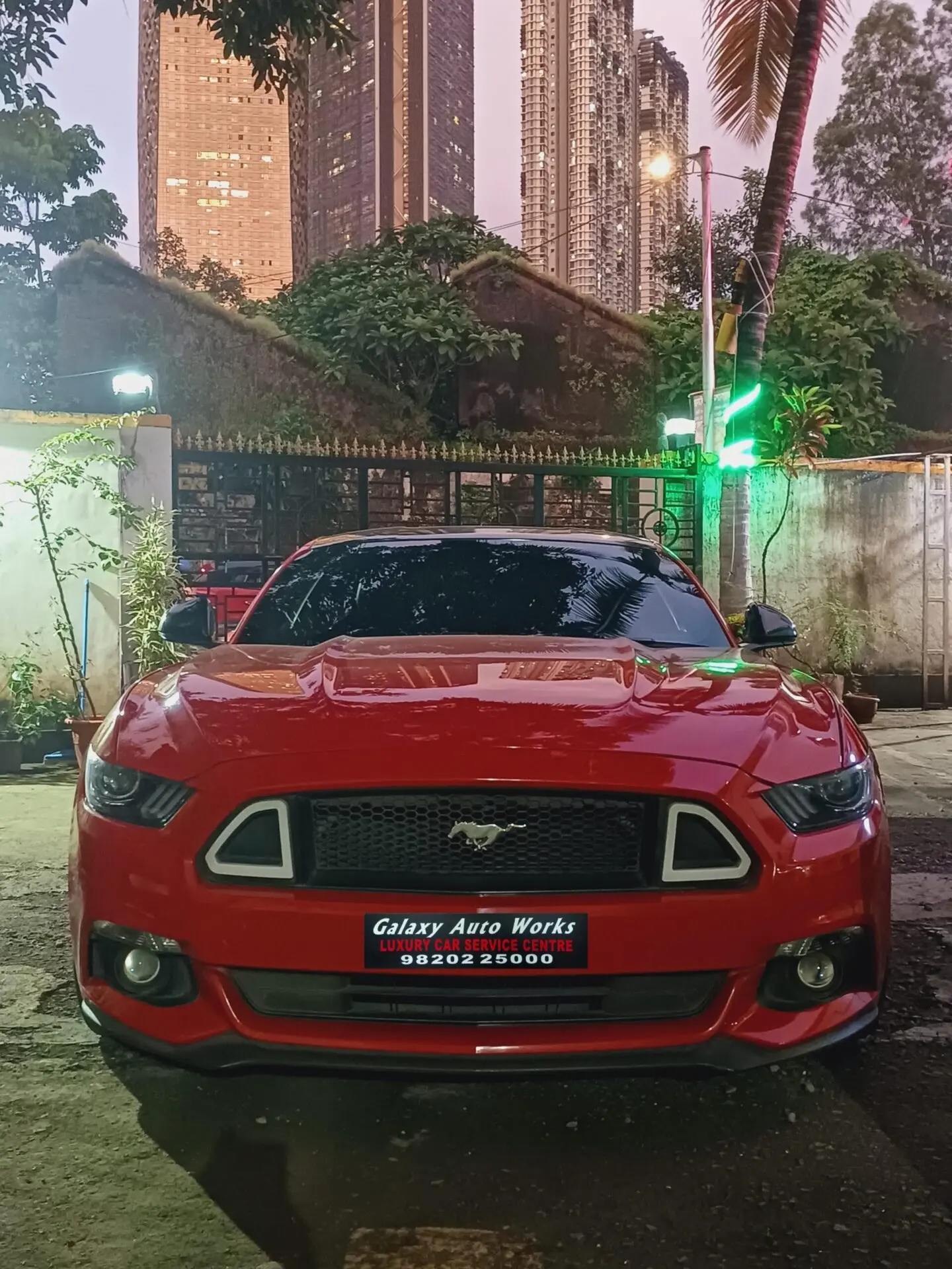 Mustang1
