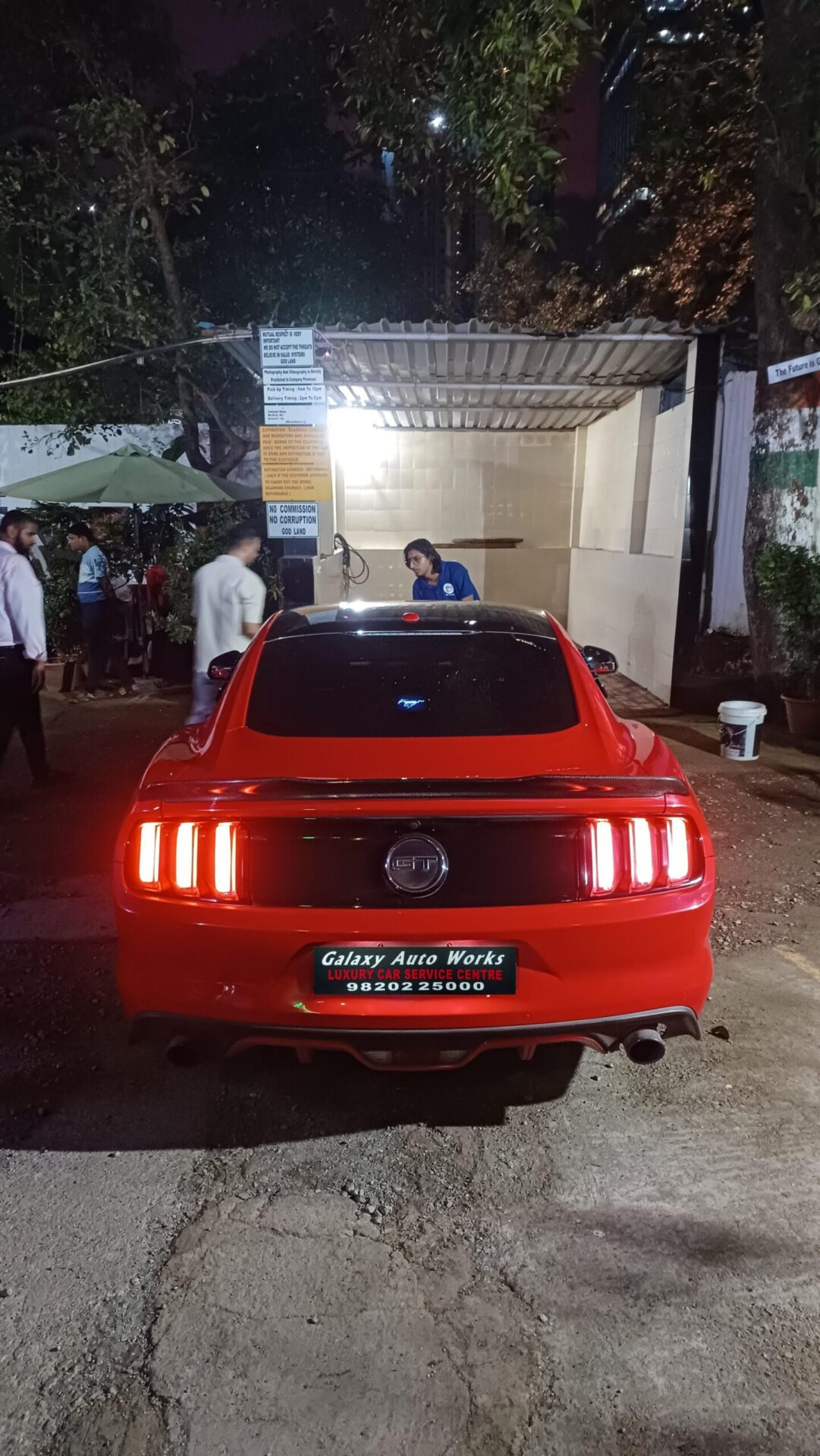 Mustang3