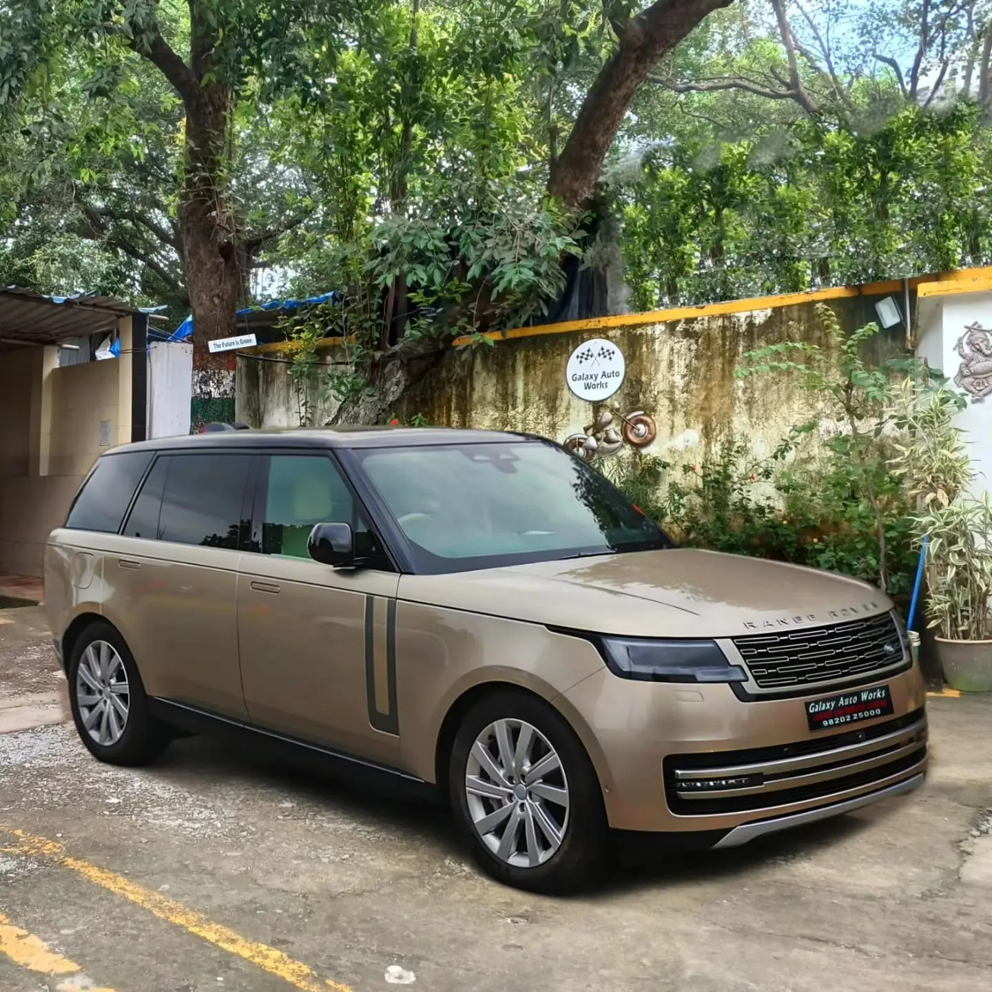 Range Rover 65