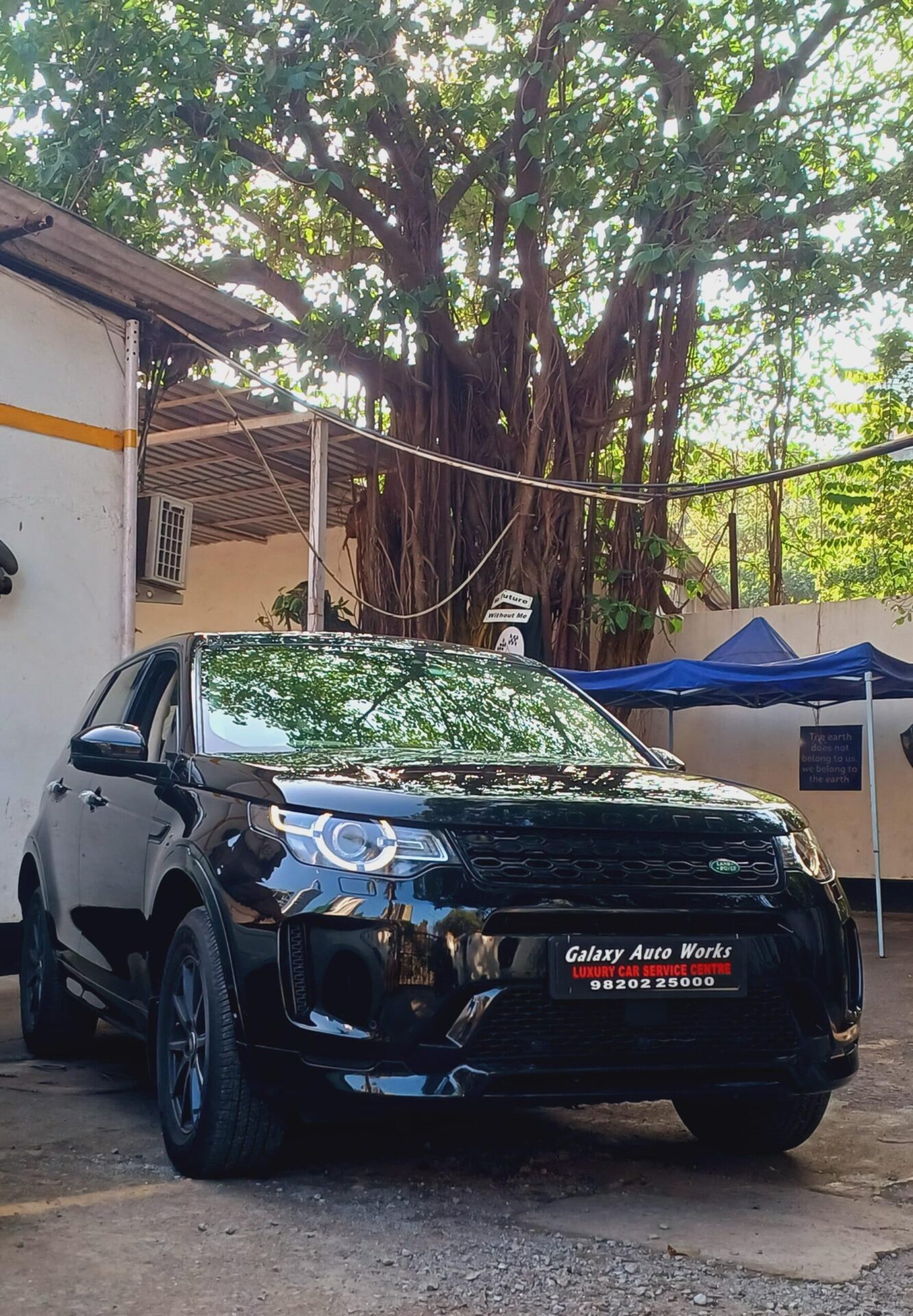 JLR5