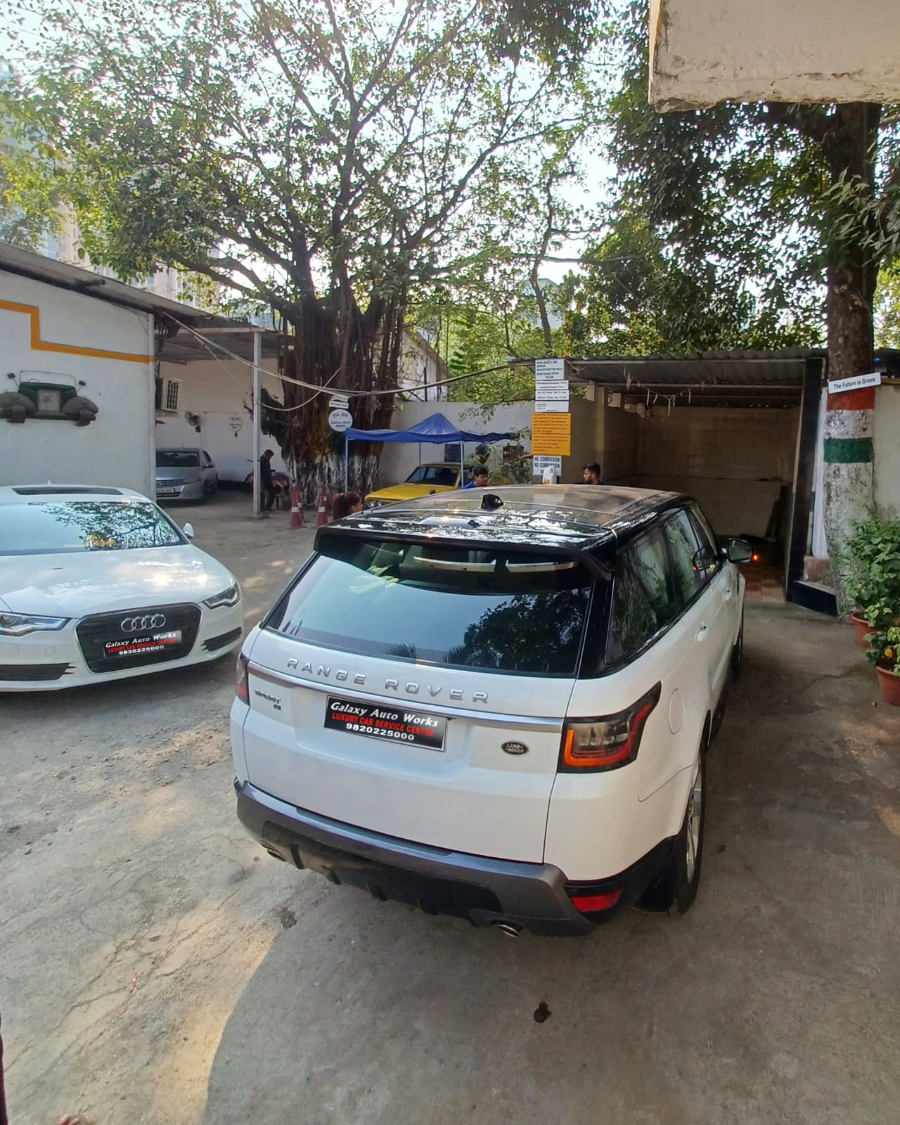 JLR7