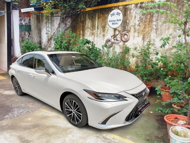 Lexus1